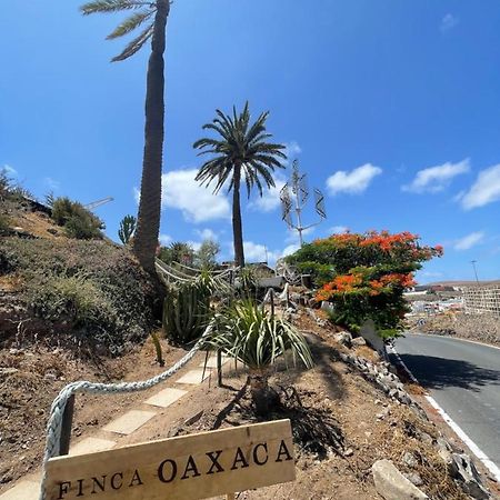 Finca Oaxaca - Casa Iguana Agaete  Exteriör bild